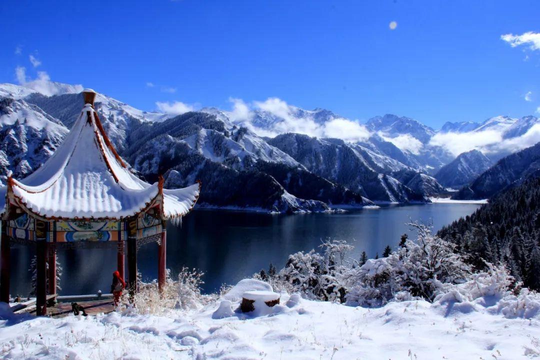 可爱兔子营救